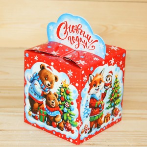  в Долгопрудном