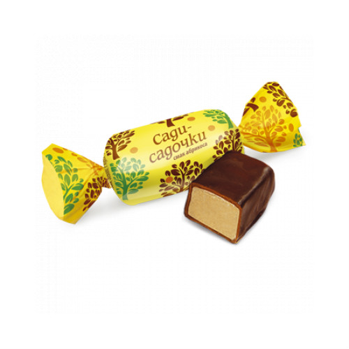 в Долгопрудном